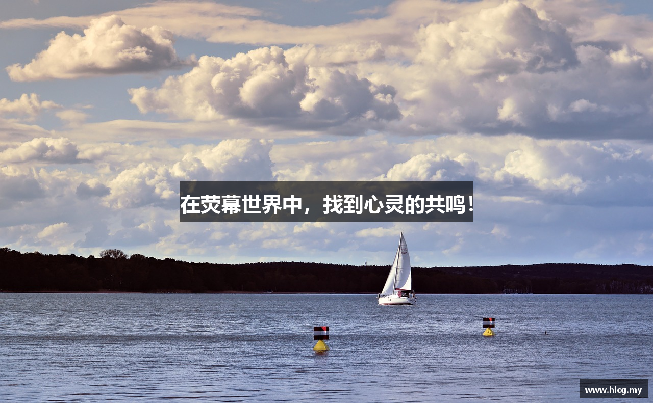 在荧幕世界中，找到心灵的共鸣！